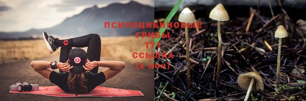 дурь Армянск