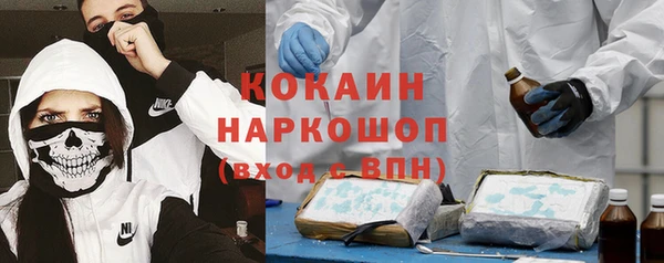 соль ск Арсеньев